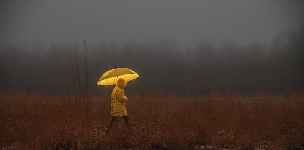 Little girl in the yellow coat with umbrella crossing the field in fog. Homage to the Little Red Riding Hood