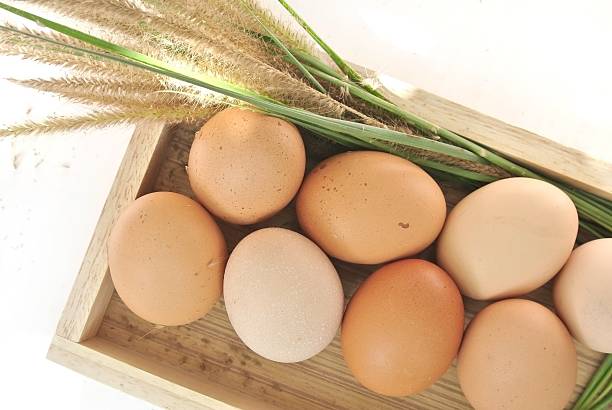 Eggs in wooden box and grass on white background