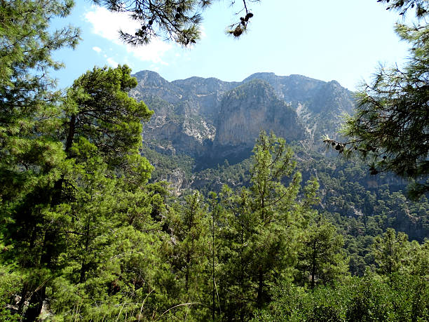 istock tracking road in high mountains Turkey 475227753