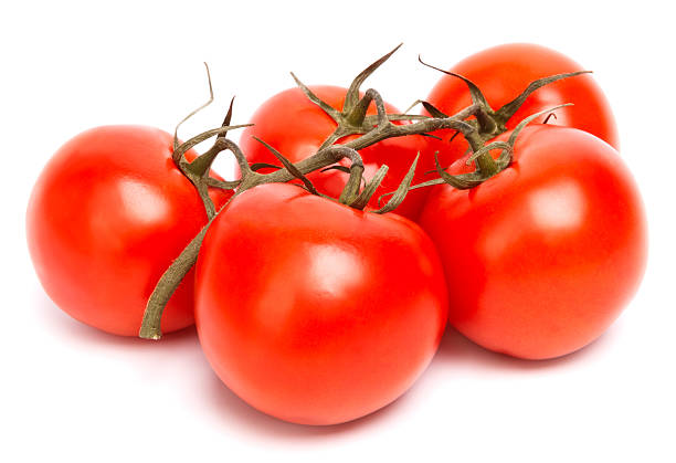 istock branch of tomatoes 475228068