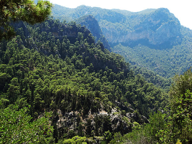 istock tracking road in high mountains Turkey 475228907