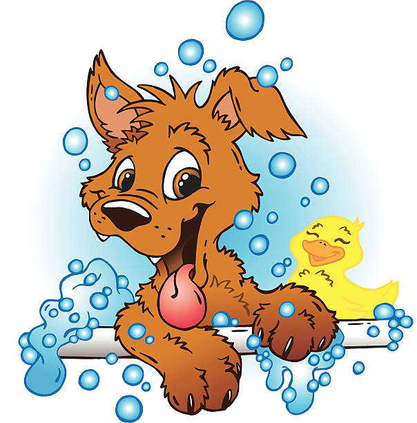 ilustrações de stock, clip art, desenhos animados e ícones de banho de cachorrinho - dog bathtub washing puppy