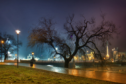 Budapest tree