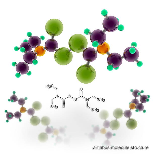 Disulfiram (Antabuse, Anticol, Esperal) molecule structure Disulfiram (Antabuse, Anticol, Esperal) molecule structure. Three dimensional model render giardia lamblia stock pictures, royalty-free photos & images