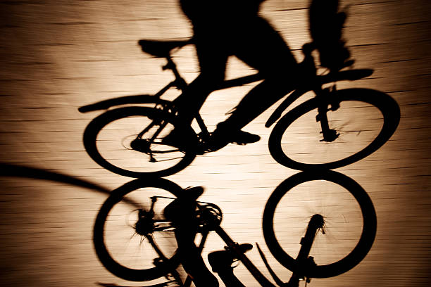 Shadow of bicycle wheels on the road surface.