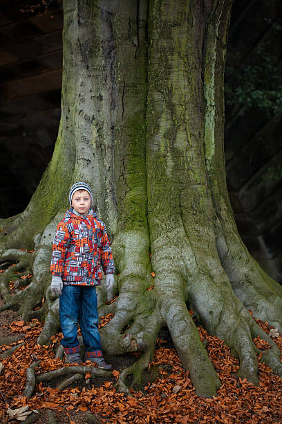 Boy in autumn park stock photo