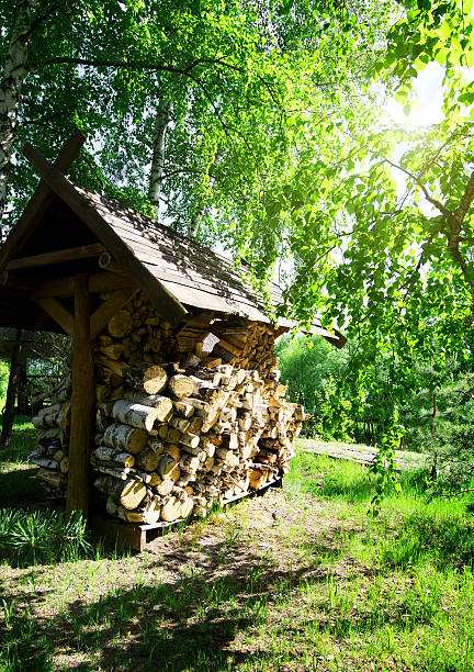 Pile of firewood under the canopy in the park