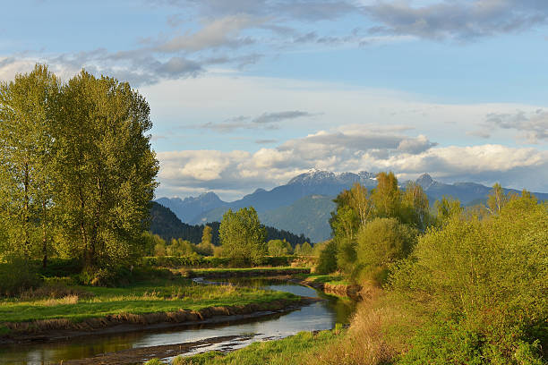 Pitt River and Golden Ears Mountain in spring stock photo