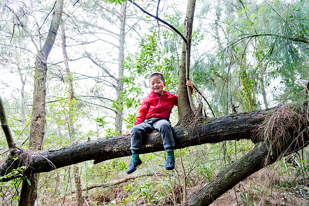 istock Little boy sitting on a branch 475242860