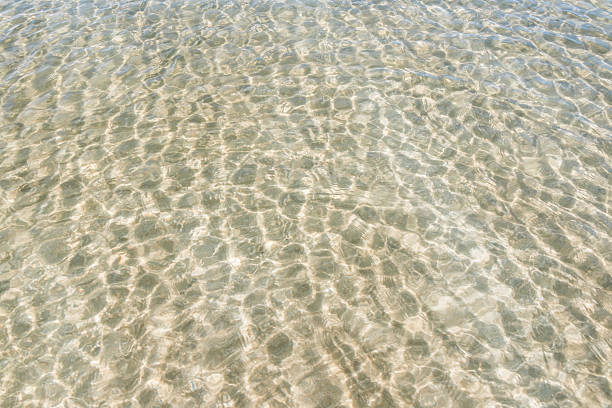 морской песок текстуры - sandy brown стоковые фото и изображения