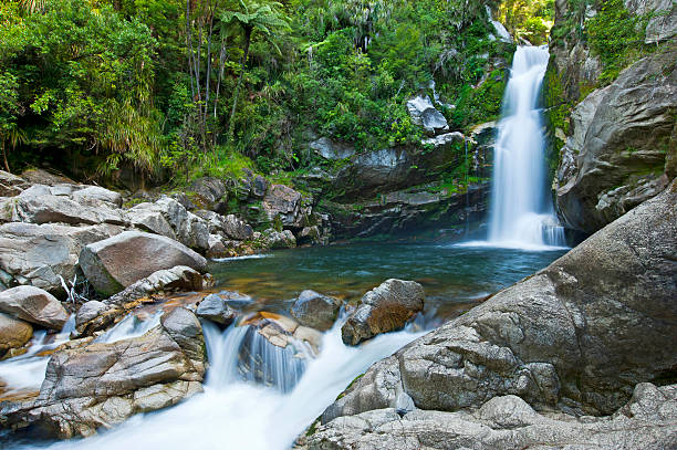 de wainui, nova zelândia - abel tasman national park imagens e fotografias de stock