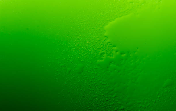istock Water Droplets on Green Metal Background 475243660