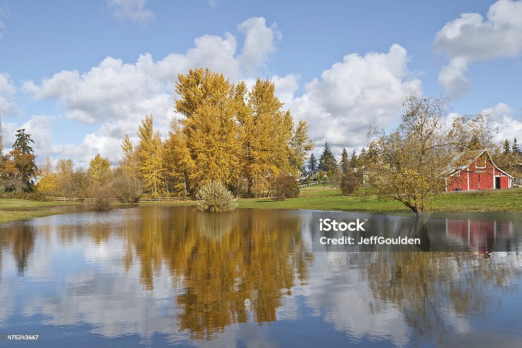 Rojo Barn y los colores del otoño refleja en un estanque - Foto de stock de Puyallup libre de derechos