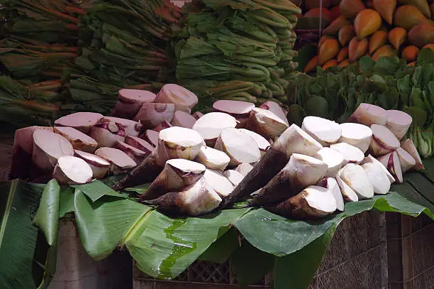 Bamboo shoots are sold in the market