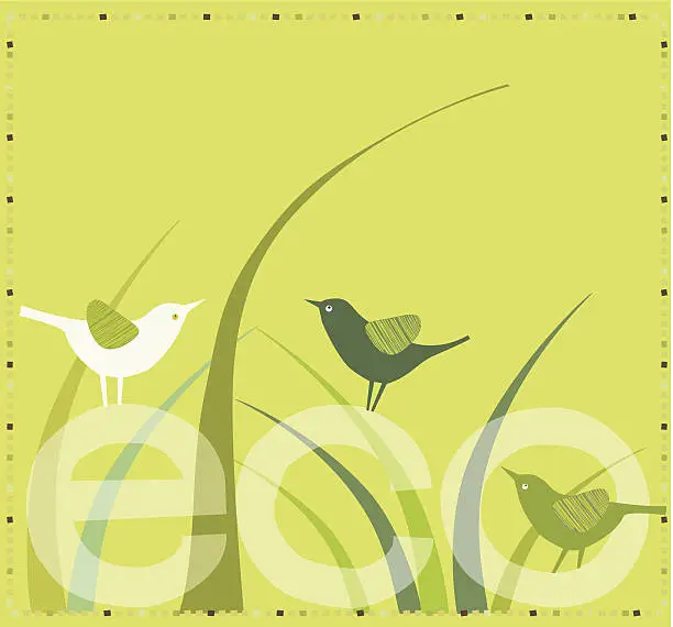 Vector illustration of Green Background, Grass and Birds , Eco, Text