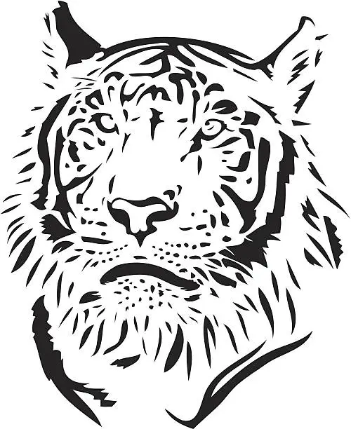 Vector illustration of Tiger illustration in black lines