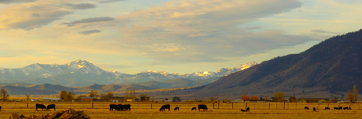 Late afternoon light bathes a majestic view of the Carson Valley in Nevada