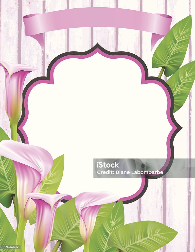 Calla Frame Calla Lily Frame Stock Illustration - Download Image Now - Calla Lily ...