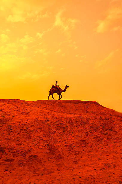 верблюжья ярмарка в пушкаре - camel fair стоковые фото и изображения