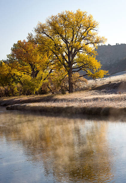 montana al río - scerene fotografías e imágenes de stock