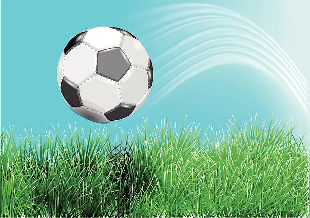 Vector illustration of football on green grass