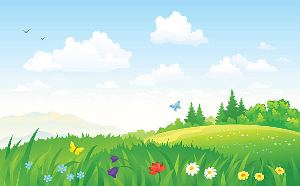 ilustraciones, imágenes clip art, dibujos animados e iconos de stock de paisaje de verano - landscape sky field meadow