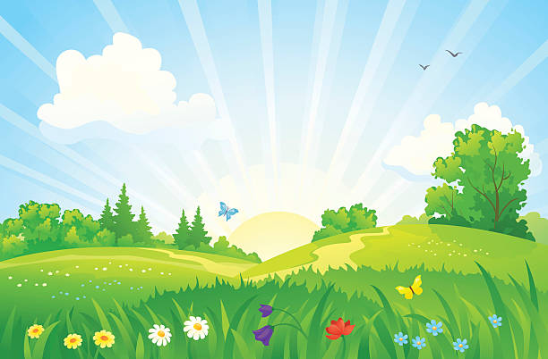 illustrations, cliparts, dessins animés et icônes de paysage du lever du soleil de l'été - spring grass cloud butterfly