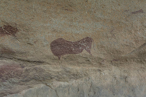rock arte - cave painting rock africa bushmen fotografías e imágenes de stock