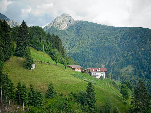 istock alpine pasture in south tyrol 475258723