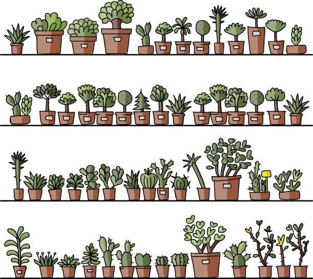 ilustrações, clipart, desenhos animados e ícones de prateleiras com cactus em panelas, esboço para seu projeto - flower pot potted plant cactus single flower