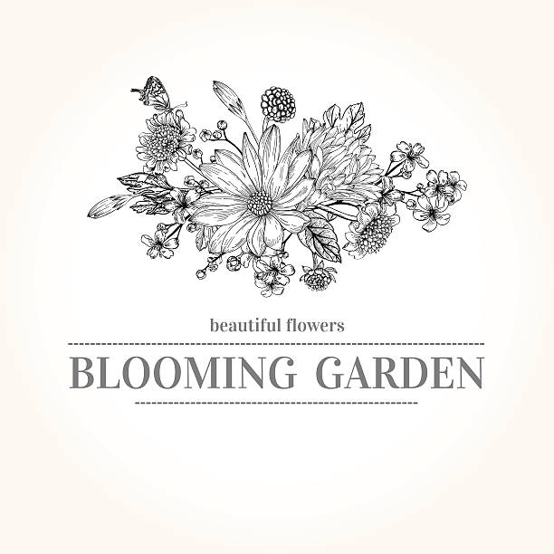 Bouquet of garden flowers. Vector card with a isolated bouquet of garden flowers. Graphics. Black and white illustration. landscape design stock illustrations