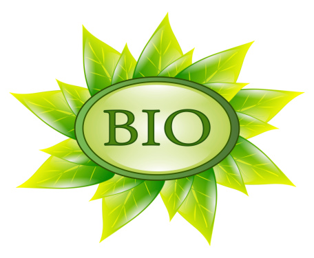 bio leaf symbol isolated on white background