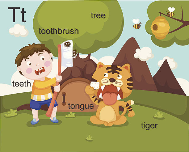 illustrations, cliparts, dessins animés et icônes de alphabet.t letter.teeth, toothb rush, arbre, la languette, tigre - letter t tree typescript alphabet