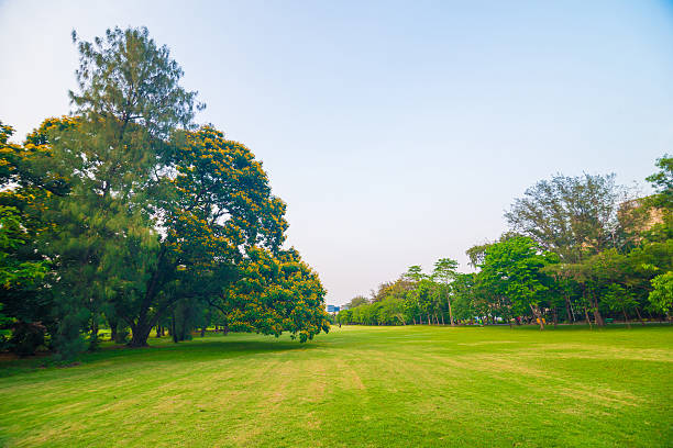 istock Green lawn in park and recreation area 475267638