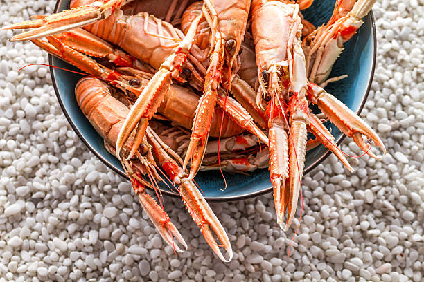 istock Seafood served on the beach 475268935