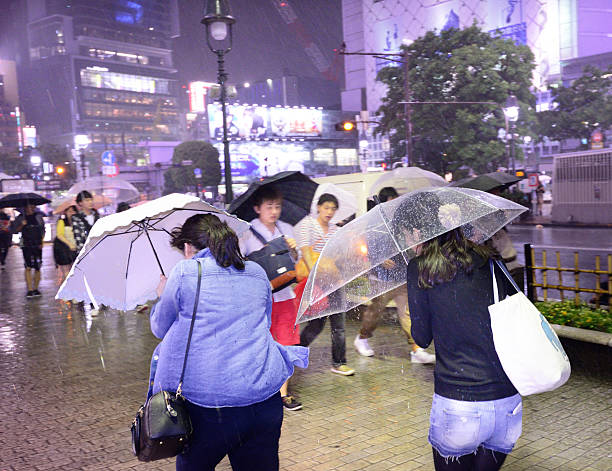 obok shibuya (zebra) dla pieszych w nocy w tajfun deszcz - parasol umbrella asian ethnicity asian culture zdjęcia i obrazy z banku zdjęć