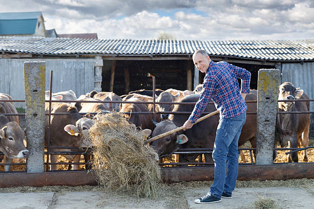 istock Male rancher in a farm 475272028