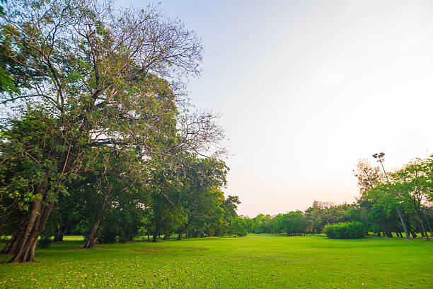 istock Green field city park, Beautiful lawn 475276084