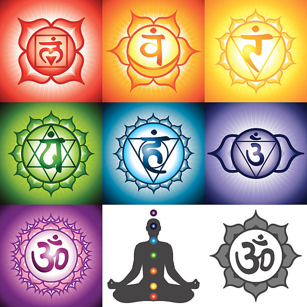 ilustrações de stock, clip art, desenhos animados e ícones de de sete chakras - lotus flower single flower red