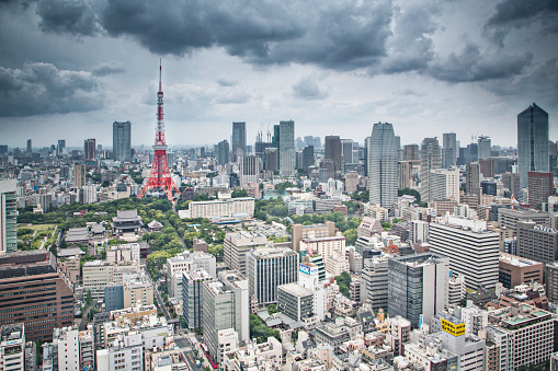 Panorama of Tokyo on a cloudy day.