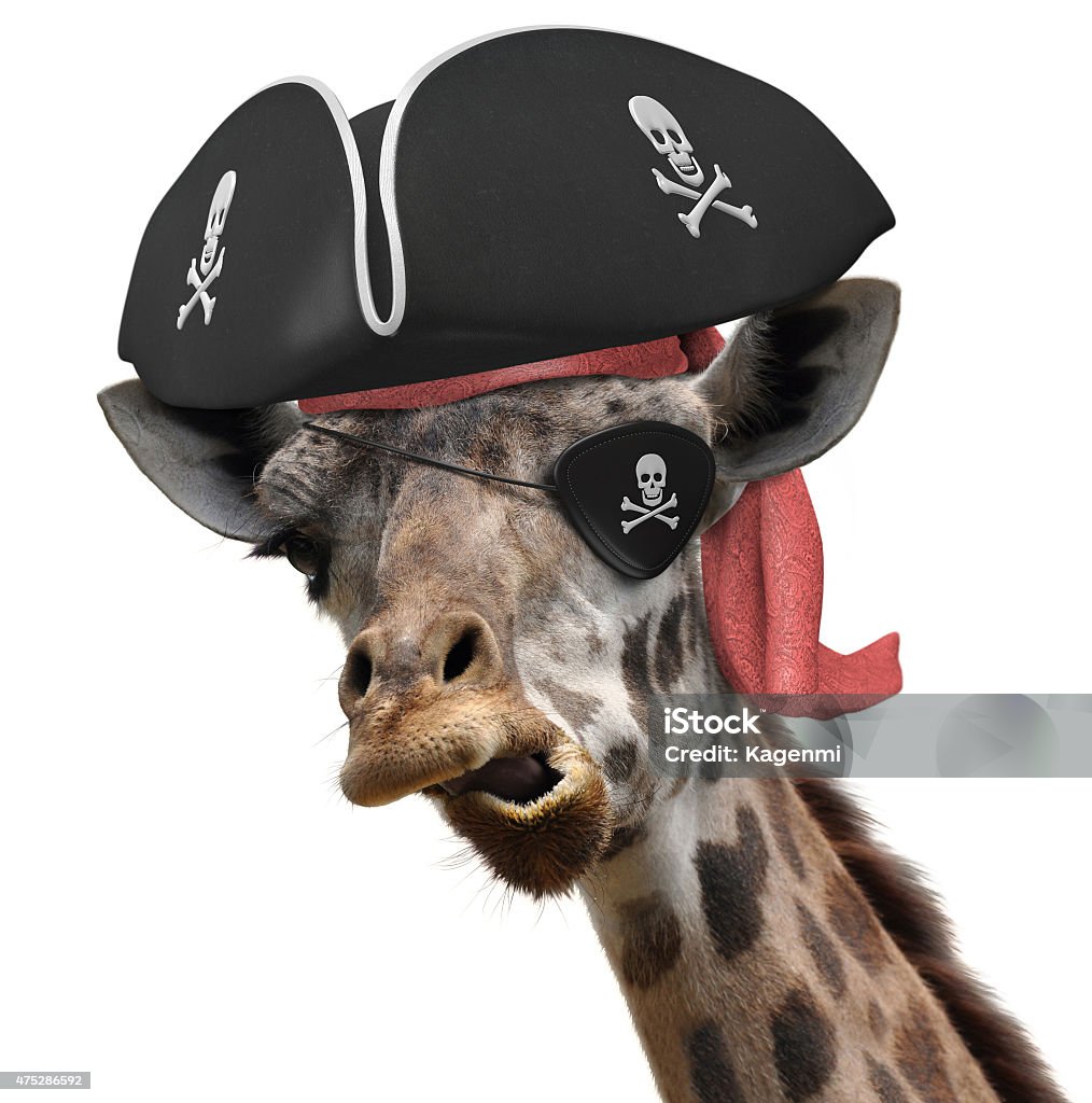 Hình Ảnh Động Vật Hài Hước Của Một Con Hươu Cao Cổ Đội Mũ Cướp ...