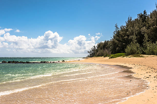 Kanaha Beach in Maui, Hawaii stock photo