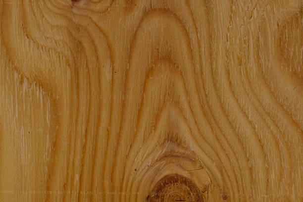 istock Texture of wood background 475293498