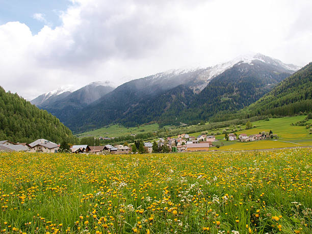 Avelengo BZ Italy - südtirol, walking in the mountains of Meran - Bozen avelengo stock pictures, royalty-free photos & images