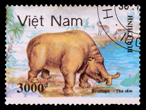 VIETNAM - CIRCA 1991: A stamp printed in the VIETNAM, shows dinosaurs, circa 1991