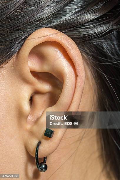 Human Ear Closeup With Metal Earring Stock Photo - Download Image Now - 2015, Adult, Anatomy