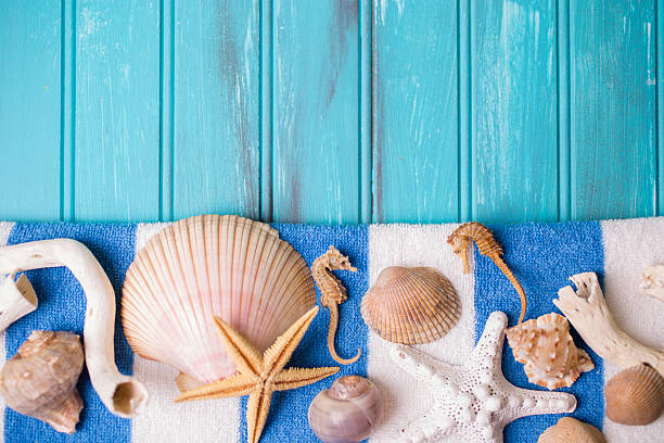 istock Summer vacation scene. Seashells on beach towel. Blue background. 475294538