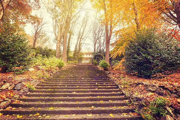 istock Staircase leading to a mansion with golden trees 475297082