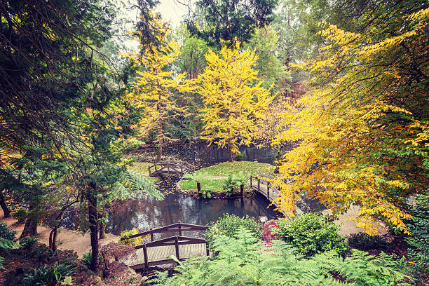 istock Beautiful pond with small islands and footbridges surrounded wit 475297194