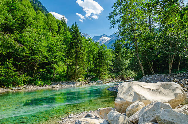 istock Aalpine landscape with a mountain brook, Austria 475298260